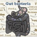 Can Probiotics Help Female Athletes to Perform Better?