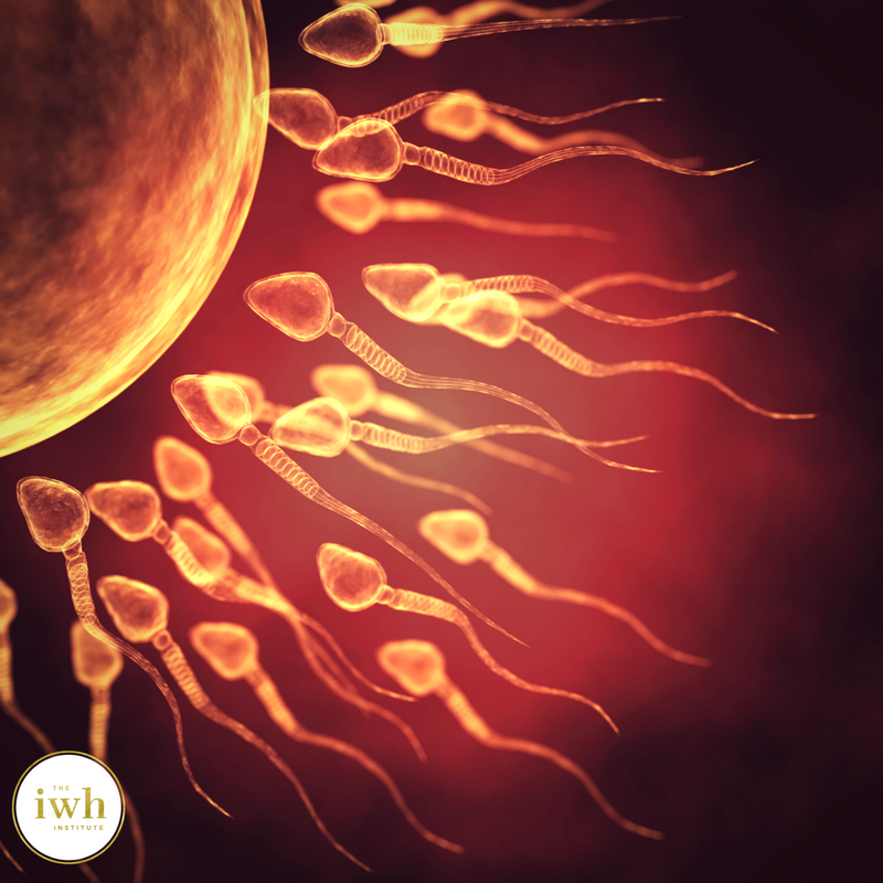 Reduce Male Infertility Risk with The Healthy Sperm Diet