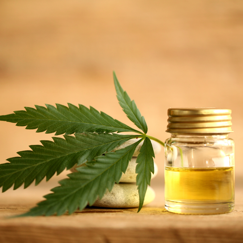 CBD Oil and Cannabis for Endometriosis and Pelvic Pain Relief
