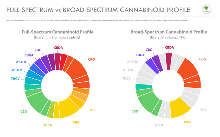 cannabinoids in cbd oil broad vs full spectrum