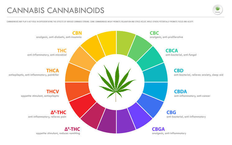cannabis cannabinoid visual chart