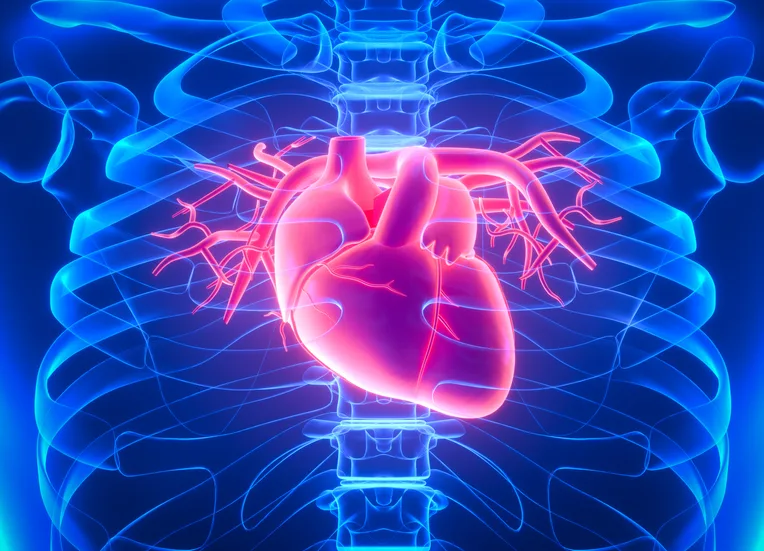 The Longevity Formula Advanced Menopausal Health Certificate