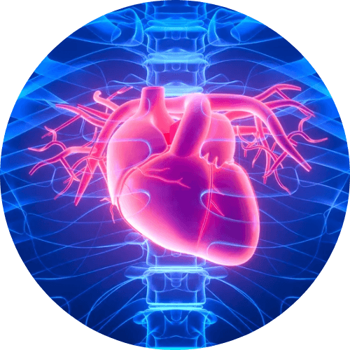 younger heart health